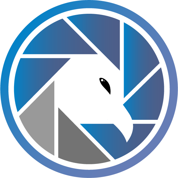 SaaS Security Score Icon